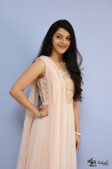 Mehreen at Krishna Gadi Veera Prema Gaadha Movie Thanks Meet